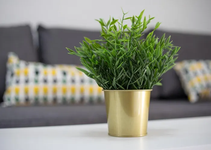 Casa Curro Casa vacanze Costa Calma